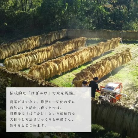山瑞 純米大吟醸 720ml 【生酒】