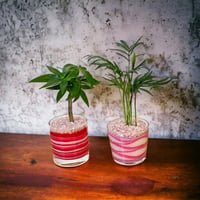 観葉植物、サボテンサンドアートSサイズ