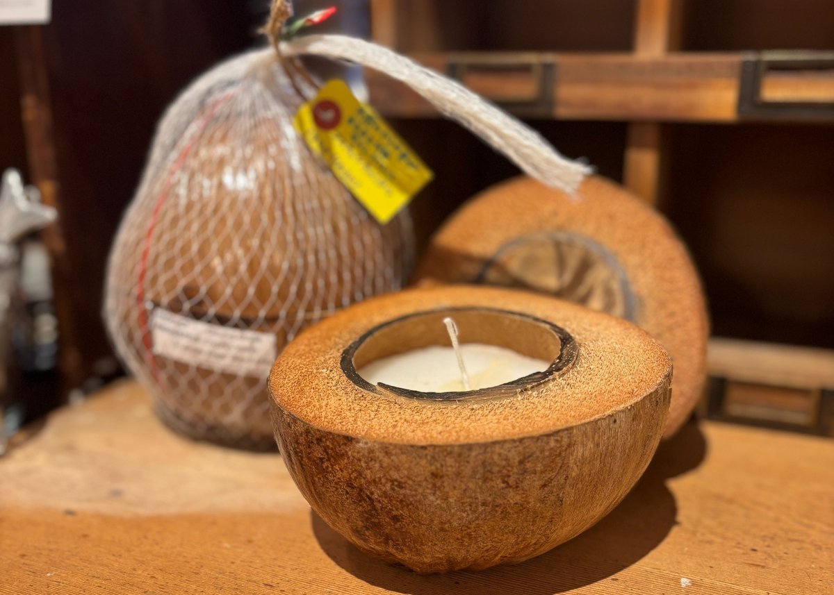 ココナッツキャンドル | M's APARTMENT