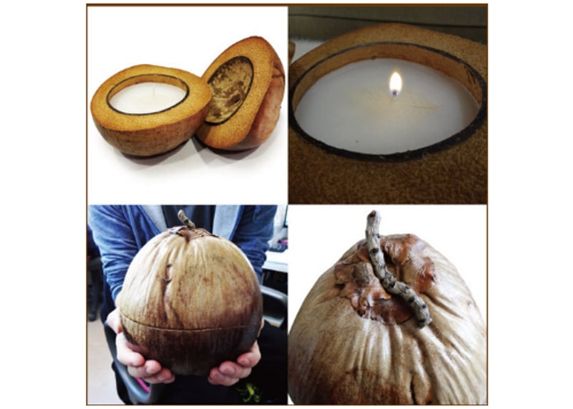 ココナッツキャンドル | M's APARTMENT