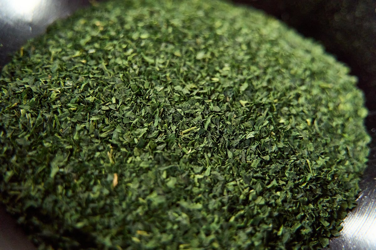 京都和束町産のオーガニック抹茶缶(シングルオリジン) | 抹茶 京都和束町産のオーガニック抹茶缶(シングルオリジン) | 抹茶