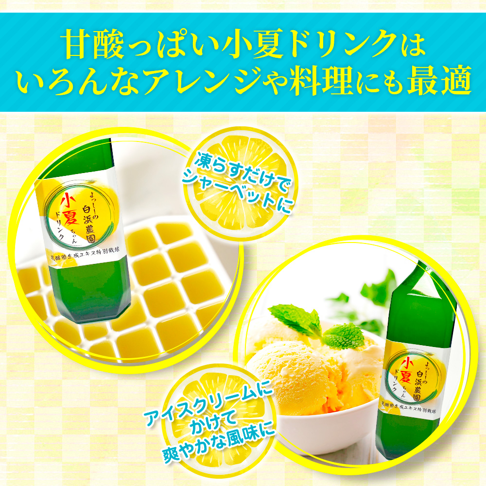 小夏樣専用 小夏ドリンク お得な濃縮4倍タイプ | よっしーの白浜農園