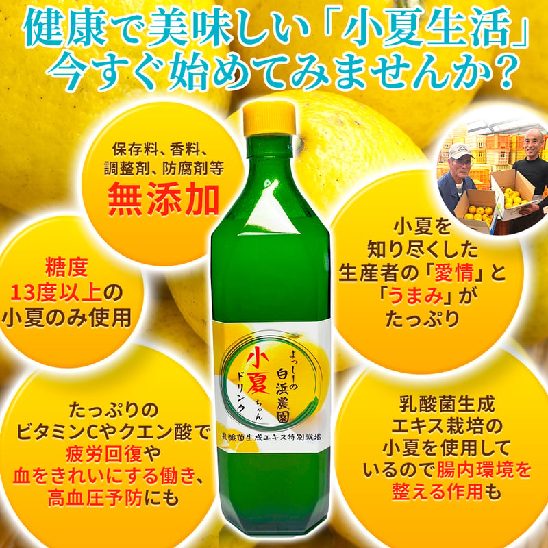 小夏ドリンク お得な濃縮4倍タイプ | よっしーの白浜農園