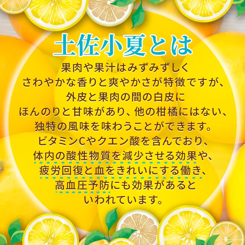 小夏ドリンク お得な濃縮4倍タイプ | よっしーの白浜農園