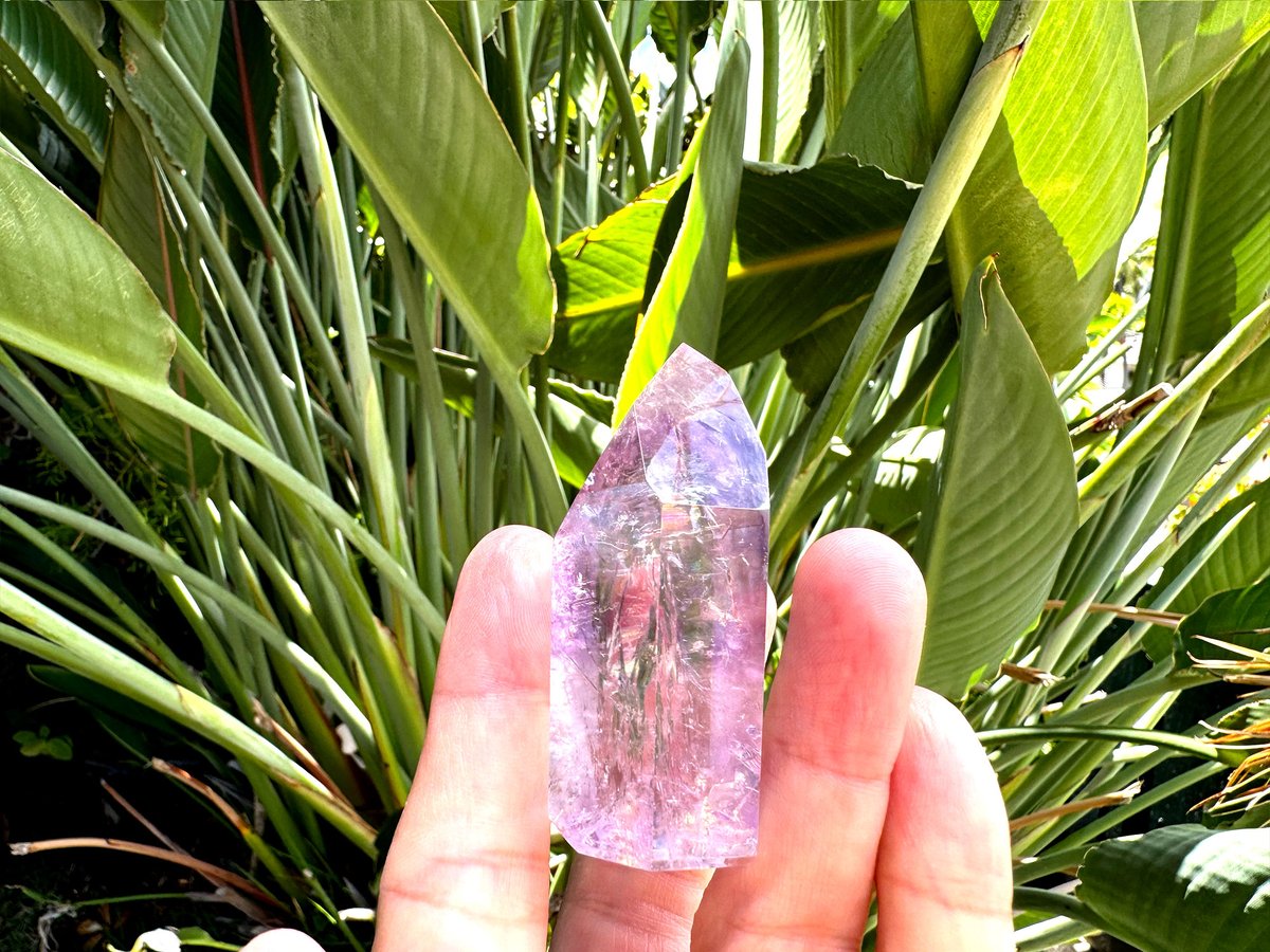 NEW!! 一点もの】マウントシャスタ希少クリスタルアメジスト7 | かみ