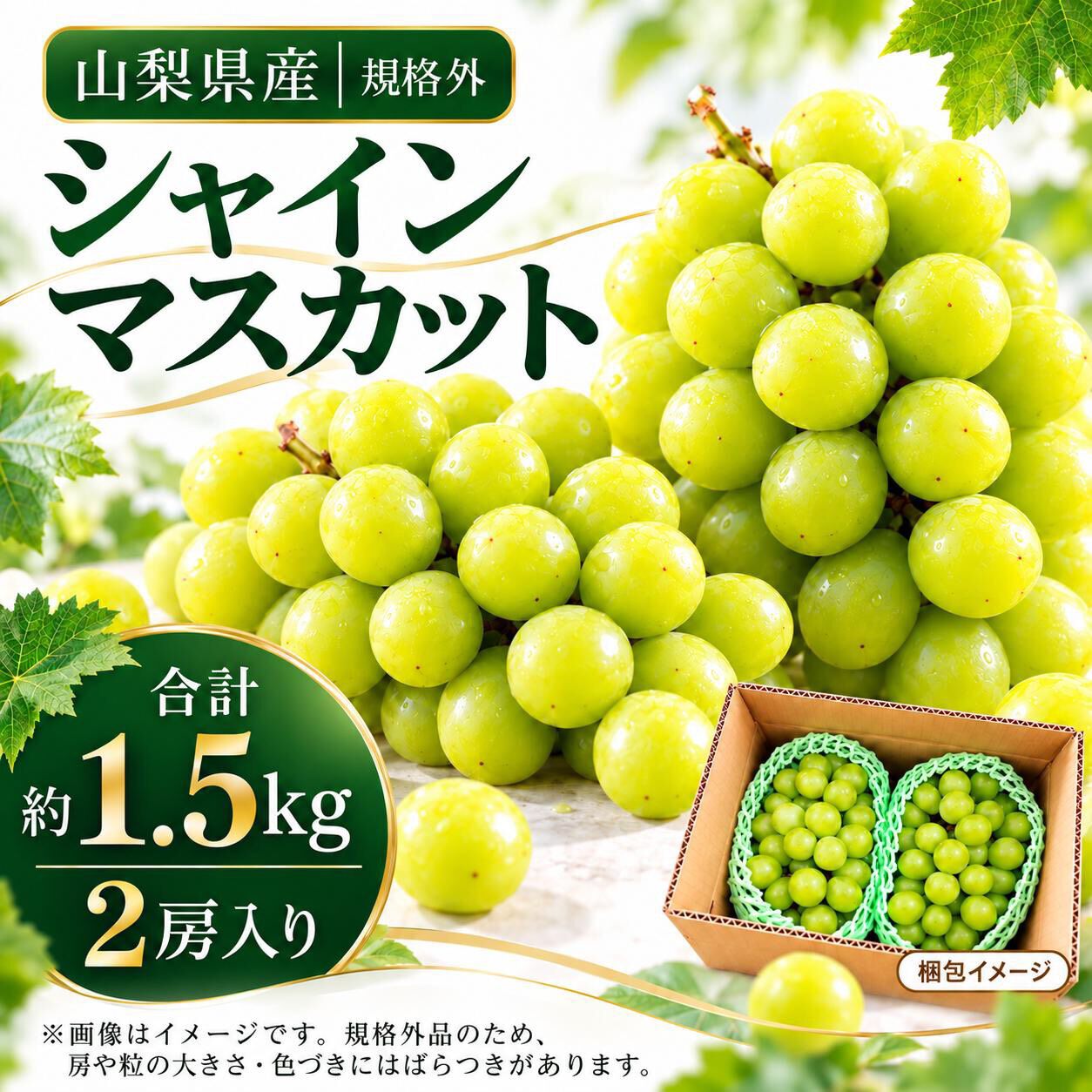 山梨県産 シャインマスカット】 規格外品 お得な約1.5kgでお届け 2房