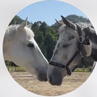 訪問介護とれじゃーまっぷ