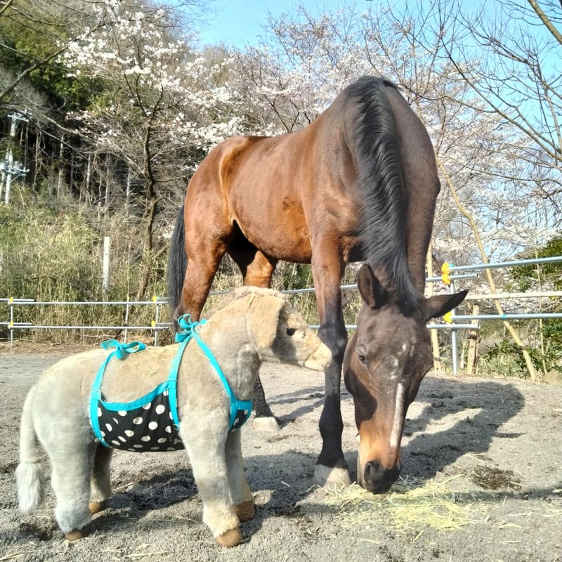 ミントグリーンの馬と子馬の置物 ミントしゃん】Horse Space 紡 | 株式会社テイクオー