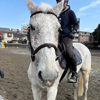 【バータノ】鹿児島大学馬術部