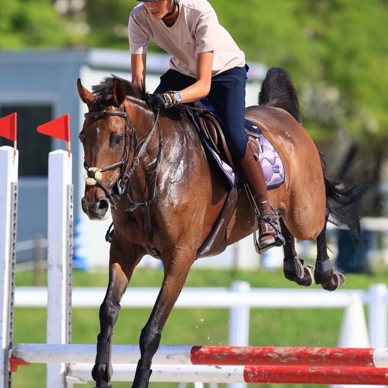 エムファーム　極うま PUMA 2025FW PLAYMAKERS PACK | KISHISPO Kemari87 公式通販サイト