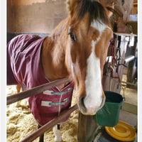 🎂6月10日お誕生日🎂ゾニー【ZENRIDINGCLUB】
