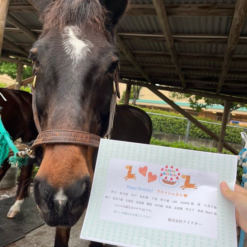 ピクセル(ぴーちゃん)【ZENRIDINGCLUB】 | 株式会社テイクオー