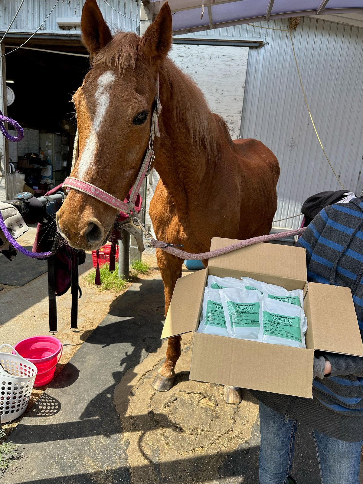 パンナコッタさん】 | 株式会社テイクオー