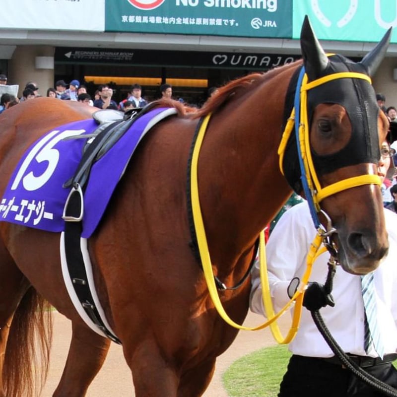 ネクスターファーム様にサラLGを1箱送ろう！ | 株式会社テイクオー