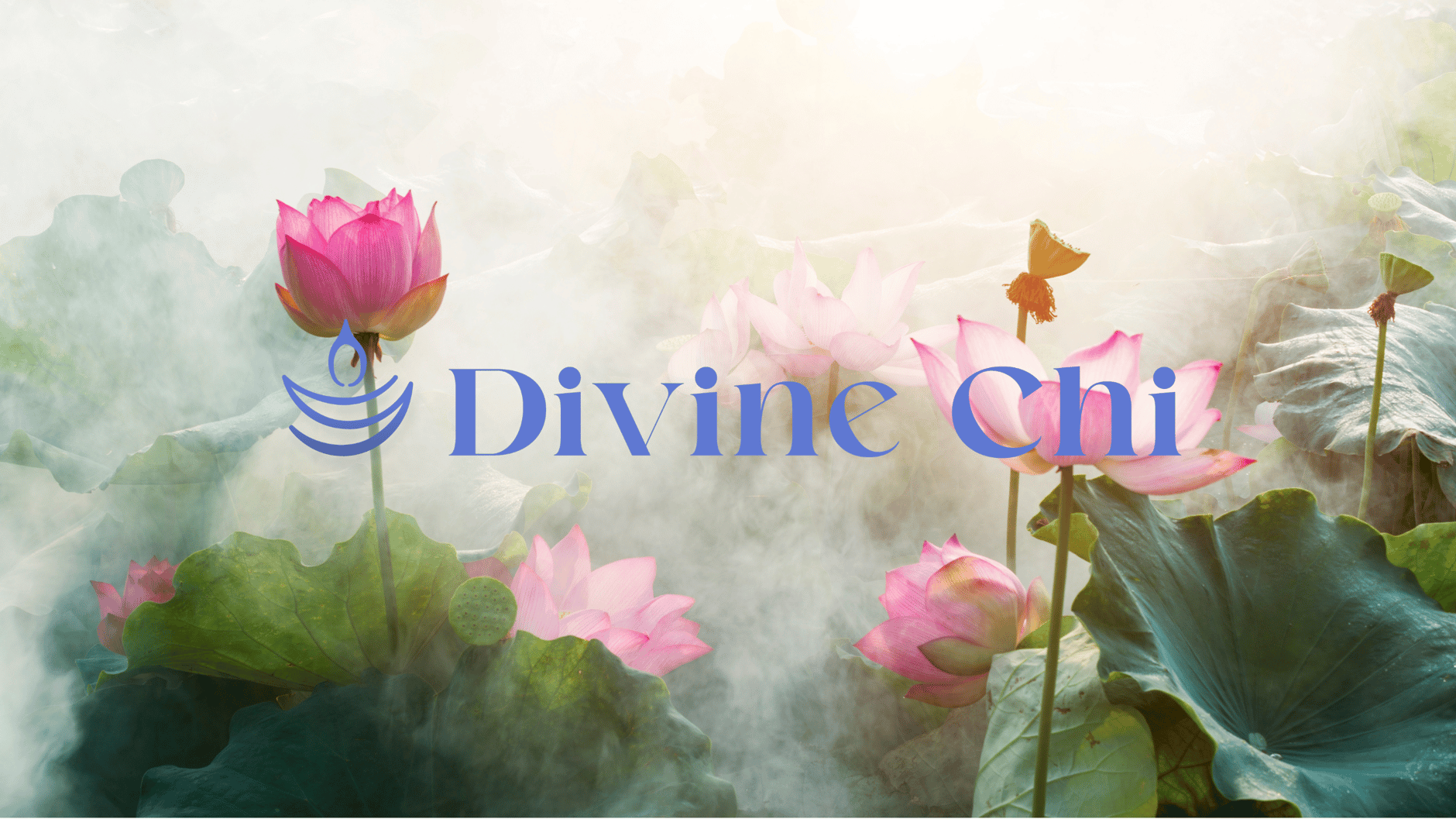 Divine Chi Shop