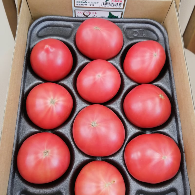 トマト  やさいバス/瀬戸内トマト2