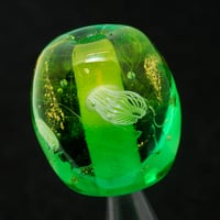 掌中の珠（ta-175）