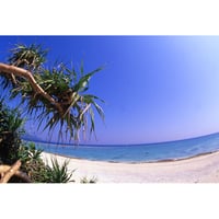 オリジナルポストカード・東の浜