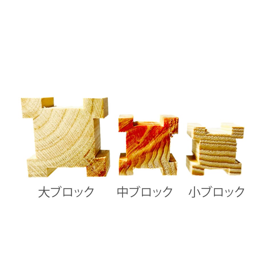 65df0425fdfc8d02a29c8a54