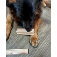 犬とあそ棒