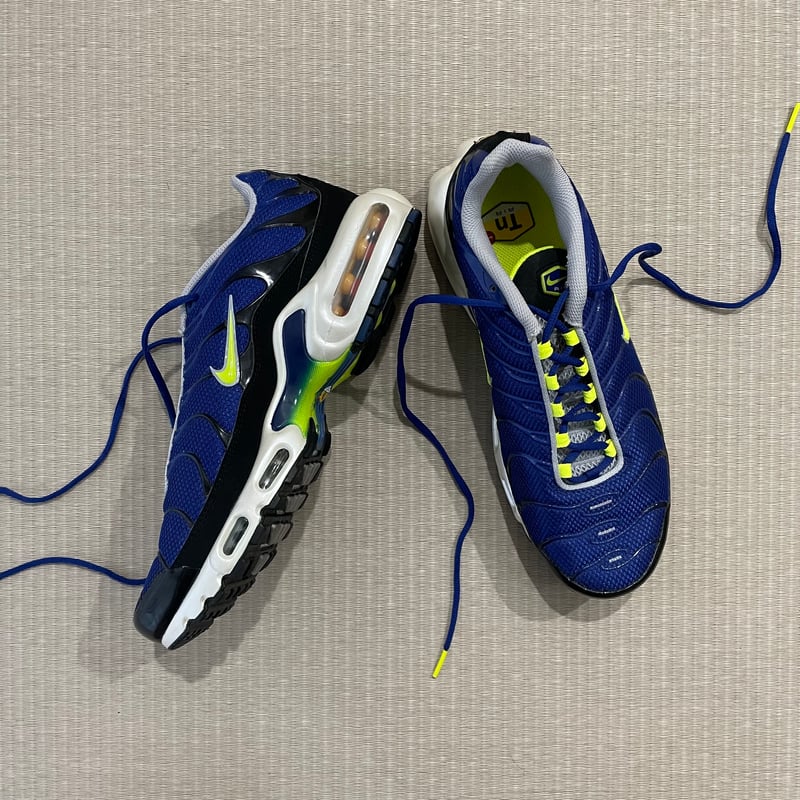 Nike air max plus fit online