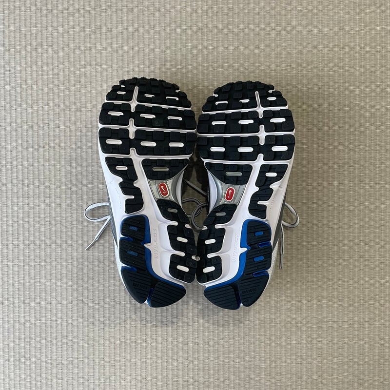 NIKE AIR PEGASUS 27 (2010) | Room 304