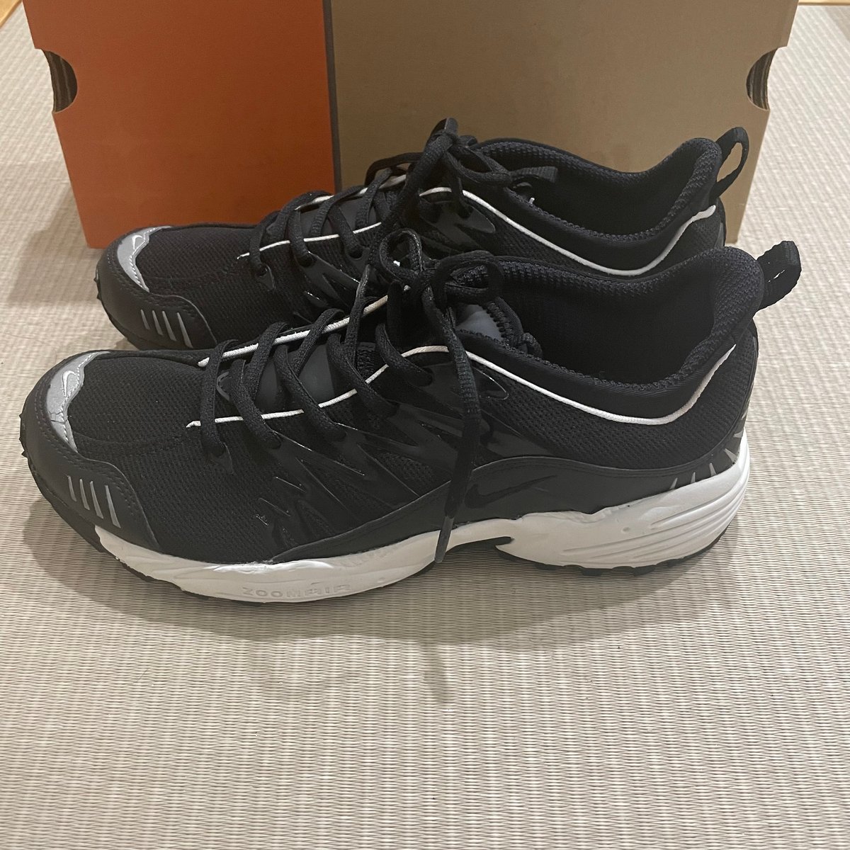 NIKE AIR TERRA GOATEK (2002) | Room 304 NIKE AIR TERRA GOATEK (2002) | Room 304