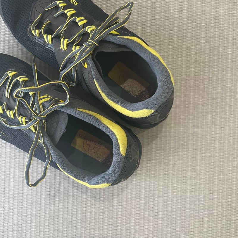 LA SPORTIVA WILDCAT 3.0 (2015) | Room 304