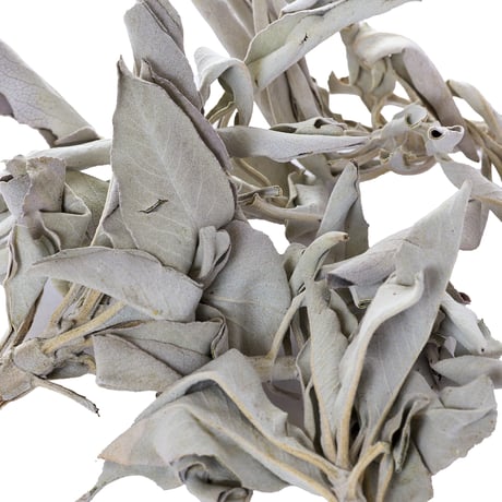 White Sage 30g