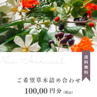旬の草木詰め合わせ　10000円分
