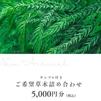 旬の草木詰め合わせ　5000円分