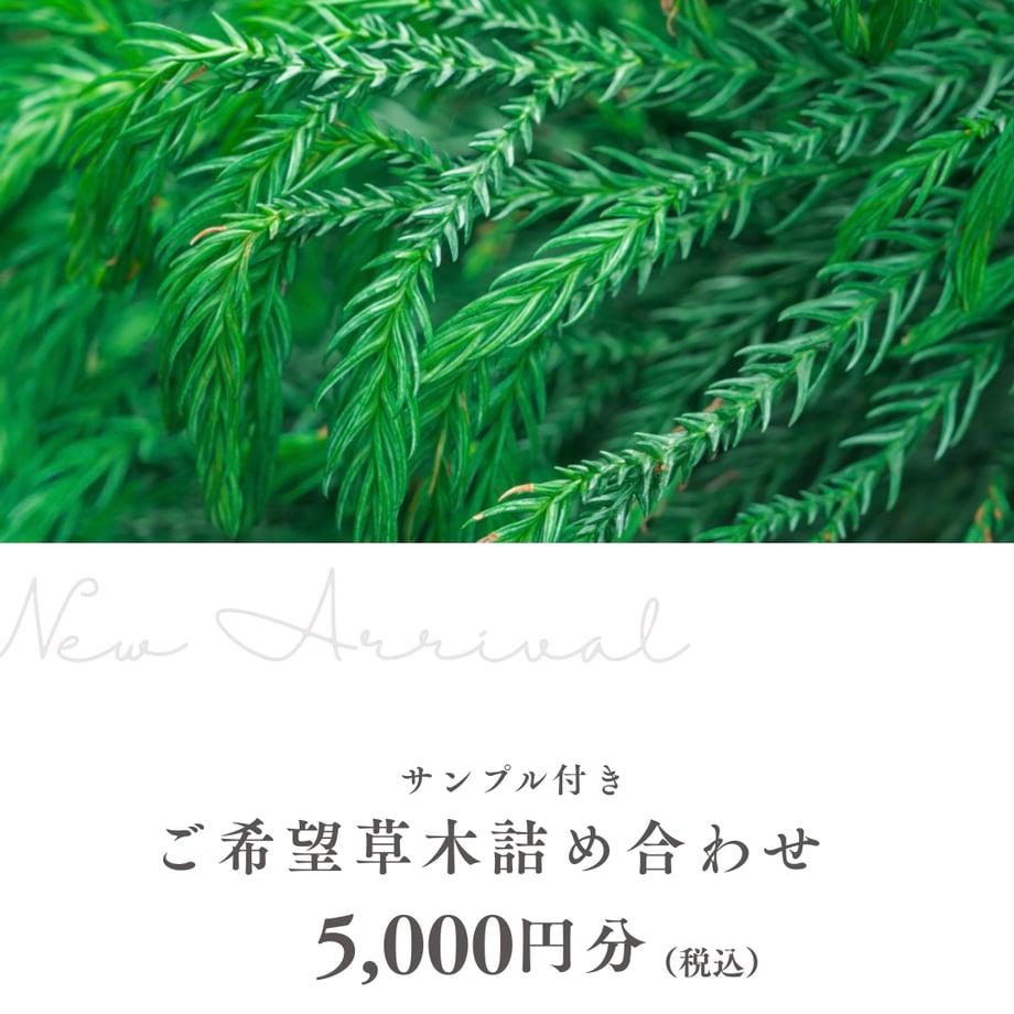 69b751488e735f36ef76099f
