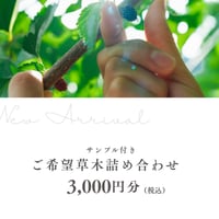 草木詰め合わせ　3000円分