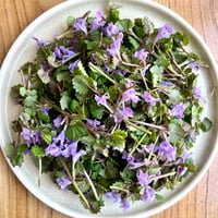 カキドオシ　50g