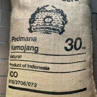 インドネシア ジャワ島 西ジャワ州 カモジャン ワノジャ コーヒー サトレア・アマンビ アナエロビック ナチュラル （深煎り）