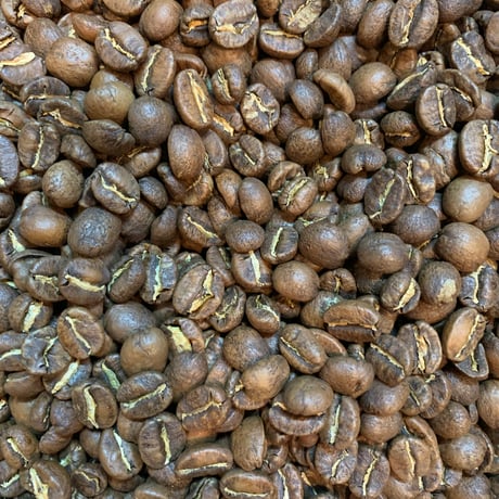 グアテマラ　Finca EL Injerto  アルトゥロ·アギーレJr. エル·インヘルト ブルボン（中浅煎り）