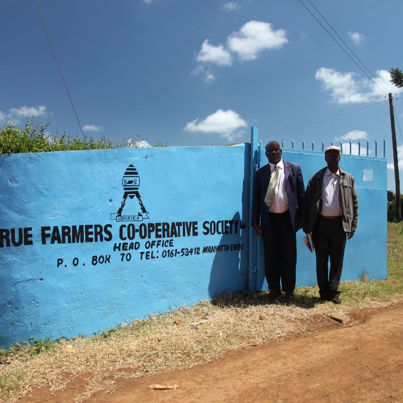 ケニア エンブ ムルエ組合 キアンヤンギ AA （深煎り