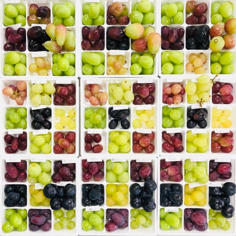 次世代シャインマスカットを楽しむ会2024 | Bear Fruits