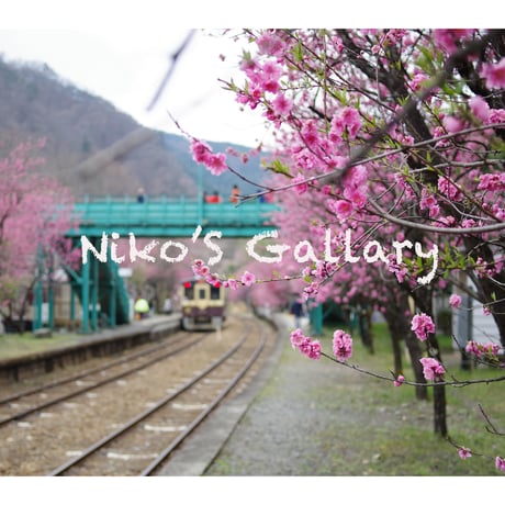 花桃と列車