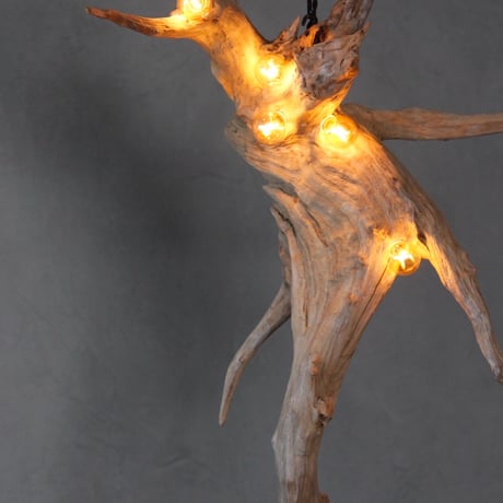 5bulb vartical driftwood light