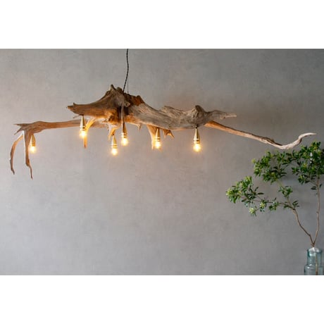 6bulbs Driftwood Roots chandelier