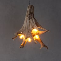 4bulbs driftwood  pendantlight