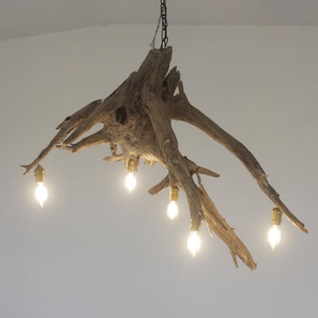 ROOTS chandelier