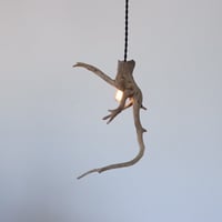 Slim branch mini pendant  light