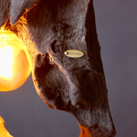 2bulbs Driftwood table light