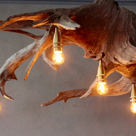 5bulbs Roots chandelier