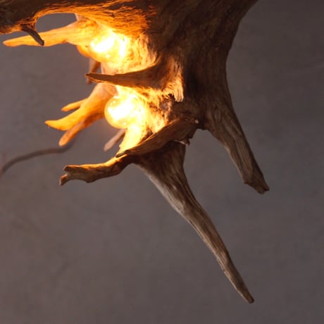 5Bulbs diagonally roots chandelier