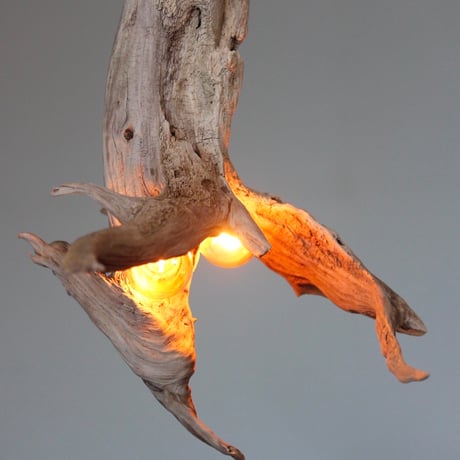 W bulb branch pendant light