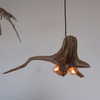 2bulb Driftwood longbranch pendant light