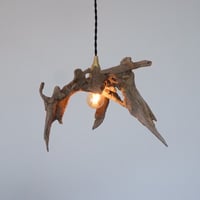 Umbrella driftwood pendant light